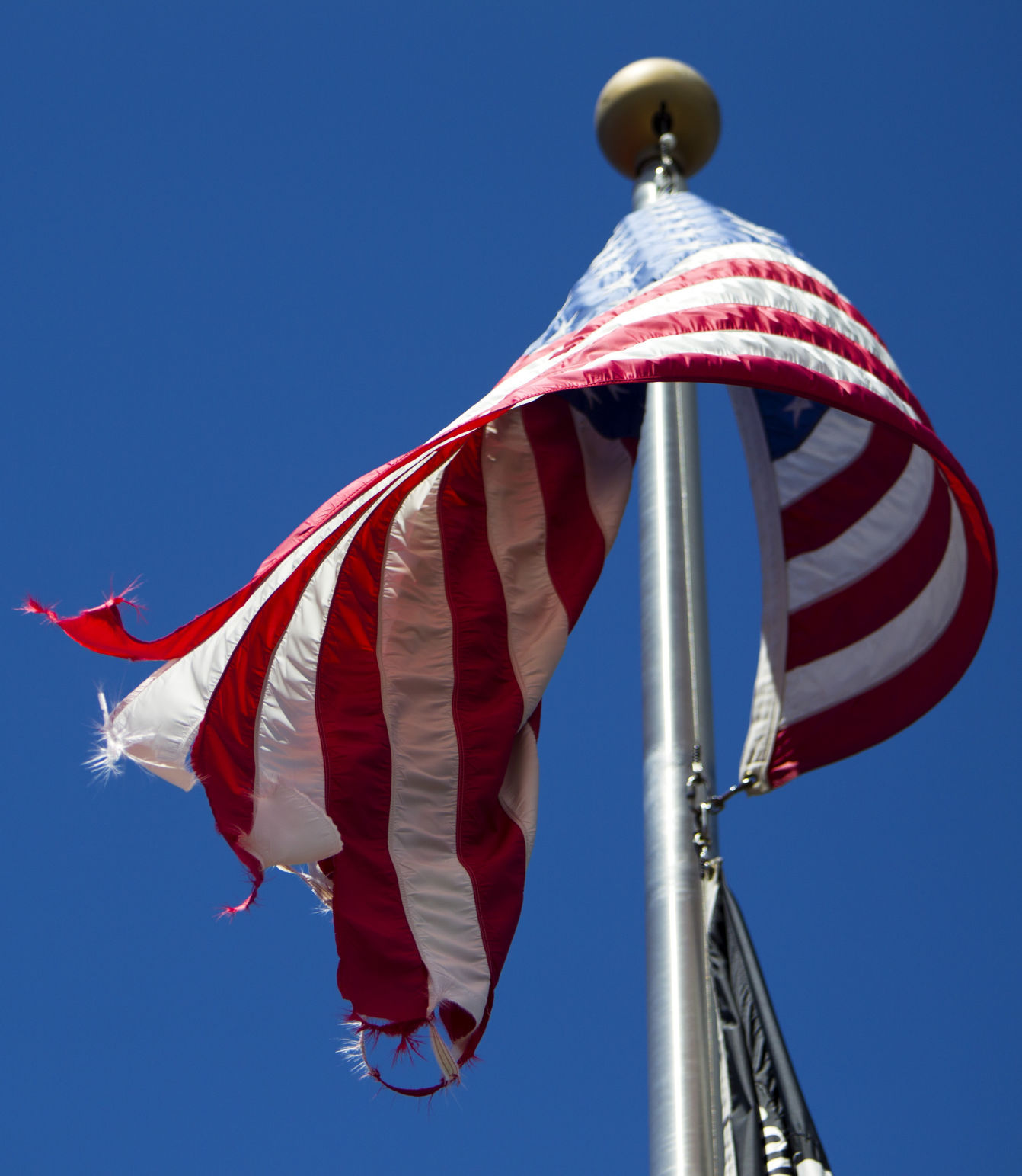 Flag Day